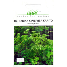 Насіння - Петрушка Каліто, кучерява, Clause (Франція), 1 г.
