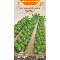 Семена - Капуста брюссельская Мачуга, 0,5 г.