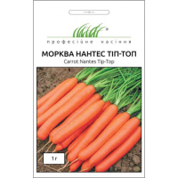 Насіння - Морква Нантес тип топ, United Genetics (Італія), 1г Насіння - Морква Нантес тип топ, United Genetics (Італія), 1г