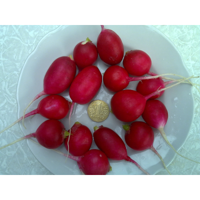 Семена - Редис Адель F1 (Lucky seed), 2 г.