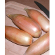 Насіння - Цибуля ріпчаста Тоска (MoravoSeed), 0,5 г.
