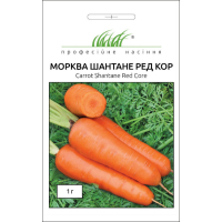 Насіння - Морква Шантане ред кор, United Genetics (Італія), 1 г.