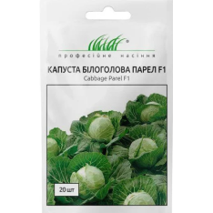 Семена - Капуста б/к Парел F1, Bejo Zaden (Нидерланды), 20 ... Семена - Капуста б/к Парел F1, Bejo Zaden (Нидерланды), 20 ...