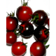 Семена - Томат Танец со смурфиками, 0,1 г.