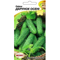 Насіння - Економ пак. - Огірок Дарунок осені, 5 г.