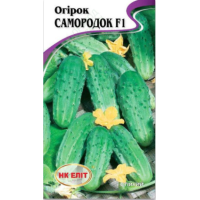 Насіння - Огірок Самородок F1, 20шт.