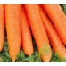 Насіння на стрічці - Морква Чер. довга без серцевини, 5 метрів