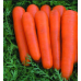 Насіння - Морква Нантес тип топ, для дитячого харчування, United Genetics (Італія) 1г.