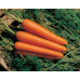 Насіння - Морква Нантес Скарлет, United Genetics (Італія), 1 г.
