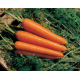 Семена - Морковь Нантес Скарлет, United Genetics (Италия), 1 г.