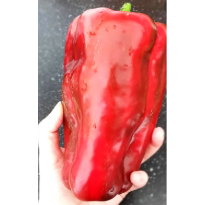 Семена - Перец сл. Красный великан, 0,25 г.
