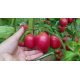 Семена - Томат Де барао розовый 0,1 г.