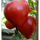 Семена - Томат Бычье сердце красное, 0,1 г.
