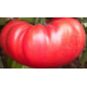 Семена - Томат Богатырь, 0,1 г