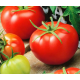 Семена - Томат Тропикал джем F1, United Genetics (Италия), 20 шт.