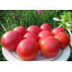 Семена - Томат Оливия F1, United Genetics (Италия), 10 шт