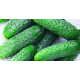 Семена - Огурец АваланжF1, NongWoo Bio (Корея), 10 шт. 