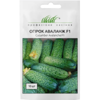 Насіння - Огірок Аваланж F1 NongWoo Bio (Корея), 10 шт.