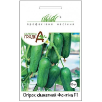 Насіння - Огірок Кімнатний Фонтіна F1 NongWoo Bio (Корея), 10 шт.