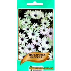 Насіння - МАРГАРИТКА КАПСЬКА, 20шт.
