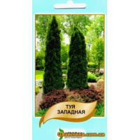 Семена - ТУЯ ЗАПАДНАЯ , 0,1 г.