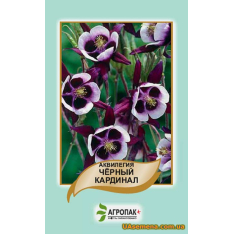 Насіння - АКВІЛЕГІЯ ЧОРНИЙ КАРДИНАЛ, 0,1 г.