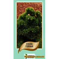 Насіння - СOCHA ГІРНИЧА, 0,1 г.
