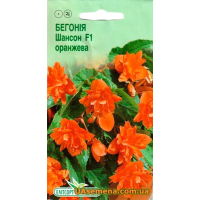 Семена - БЕГОНИЯ Ампельная ШАНСОН ОРАНЖЕВАЯ F1, 10 шт