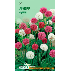 Насіння - АРМЕРІЯ ШИРОКОЛИСНА СУМІШЬ, 0,05 г. Насіння - АРМЕРІЯ ШИРОКОЛИСНА СУМІШЬ, 0,05 г.