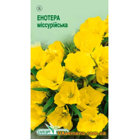 Насіння - ЕНОТЕРА МІССУРІЙСЬКА, 0,1 р.