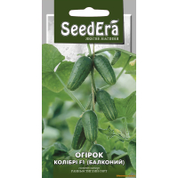 Насіння - Огірок КОЛІБРІ F1, 10 шт.