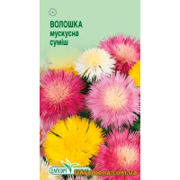 Семена - ВАСИЛЕК МУСКУСНАЯ СМЕСЬ, 0,5 г.