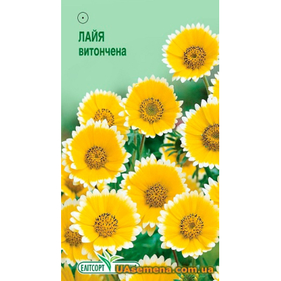 Насіння - ЛАЙЯ ЕЛЕГАНТНЕ, 0,1 г.