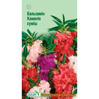Насіння - БАЛЬЗАМІН КАМЕЛІЯ СУМІШ, 0,5 г.