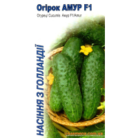 Насіння - Огірок АМУР F1, 10 шт.