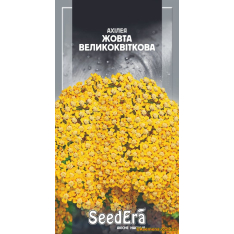 Насіння - Ахілея Жовта великоцвіткова, 0,1 г Насіння - Ахілея Жовта великоцвіткова, 0,1 г