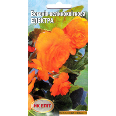 Насіння - БЕГОНІЯ Крупноквіткова ЕЛЕКТРА, 10 шт.