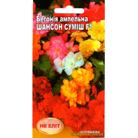 Семена - БЕГОНИЯ Ампельная ШАНСОН СМЕСЬ F1, 10 шт