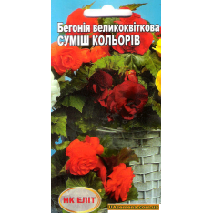 Насіння - БЕГОНІЯ Крупноквіткова СУМІС КОЛЬОРІВ, 10 шт.