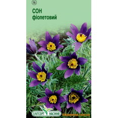 Семена - ПРОСТРЕЛ Обыкновенный ФИОЛЕТОВЫЙ, 0,05 г. Семена - ПРОСТРЕЛ Обыкновенный ФИОЛЕТОВЫЙ, 0,05 г.