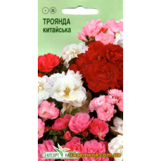 Насіння - ТРОЯНДА КИТАЙСЬКА, 10 шт.