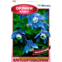 Семена - АКВИЛЕГИЯ Карликовая Бело-голубая, 5 шт.