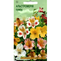 Насіння - АЛЬСТРОМЕРІЯ, 10 шт. Насіння - АЛЬСТРОМЕРІЯ, 10 шт.
