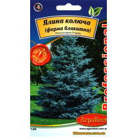 Насіння - ЯЛИНА КОЛЮЧА БЛАКИТНА//, 2 г