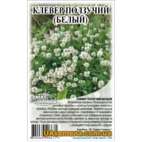 Семена - КЛЕВЕР ПОЛЗУЧИЙ БЕЛЫЙ (КОНЮШИНА), 0,5 кг