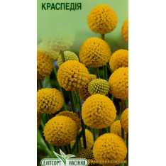 Насіння - КРАСПЕДІЯ КРУГЛА, 0,05 г