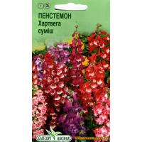 Семена - ПЕНСТЕМОН ХАРТВЕГА СМЕСЬ, 0,05 г.