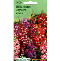 Семена - ПЕНСТЕМОН ХАРТВЕГА СМЕСЬ, 0,05 г. Семена - ПЕНСТЕМОН ХАРТВЕГА СМЕСЬ, 0,05 г.