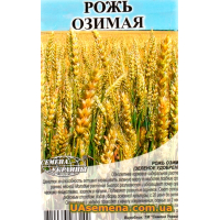 Семена - РОЖЬ ОЗИМАЯ, 1 кг