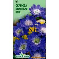 Семена - СКАБИОЗА КАВКАЗСКАЯ СИНЯЯ, 10 шт.